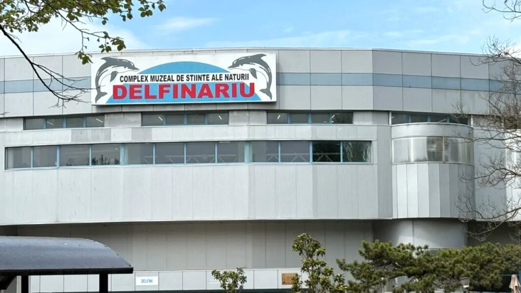 cozi-la-delfinariul-din-mamaia-in-minivacanta-de-1-mai.-cat-platesc-turistii-pentru-un-bilet