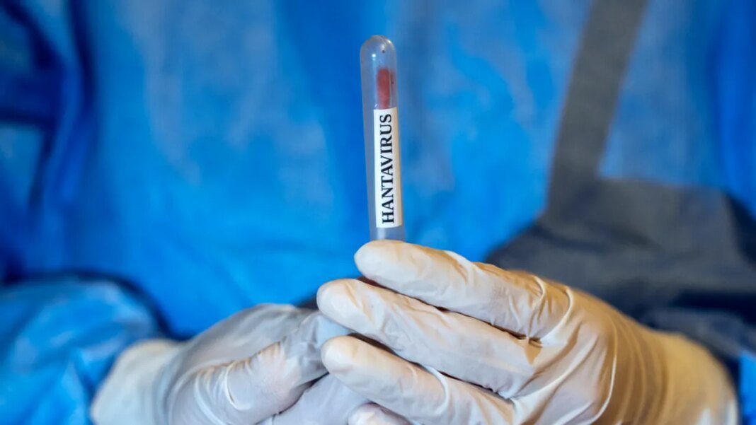 femeia-internata-intr-un-spital-din-alicante-din-cauza-suspiciunii-de-hantavirus-a-iesit-negativa-la-testul-pcr.-ce-urmeaza