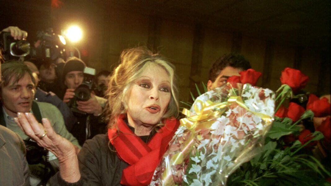 festivalul-de-la-cannes-ii-aduce-un-omagiu-lui-brigitte-bardot.-o-plaja-a-primit-numele-actritei festivalul-de-la-cannes-ii-aduce-un-omagiu-lui-brigitte-bardot.-o-plaja-a-primit-numele-actritei