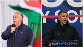 viktor orban peter magyar