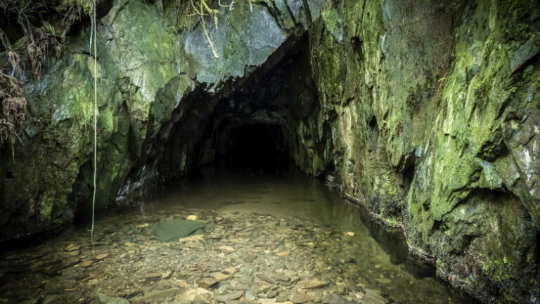 cum-arata-cea-mai-veche-arta-rupestra-din-regatul-unit-desenele-care-dateaza-de-17.000-de-ani-au-fost-confundate-cu-un-fenomen-natural
