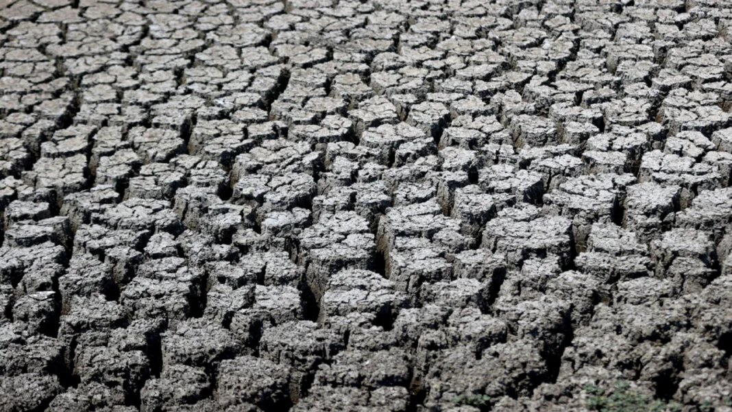 peste-100-de-milioane-de-oameni-risca-foametea.-expertii-indica-doua-cauze-majore:-el-nino-si-razboiul-din-iran peste-100-de-milioane-de-oameni-risca-foametea.-expertii-indica-doua-cauze-majore:-el-nino-si-razboiul-din-iran