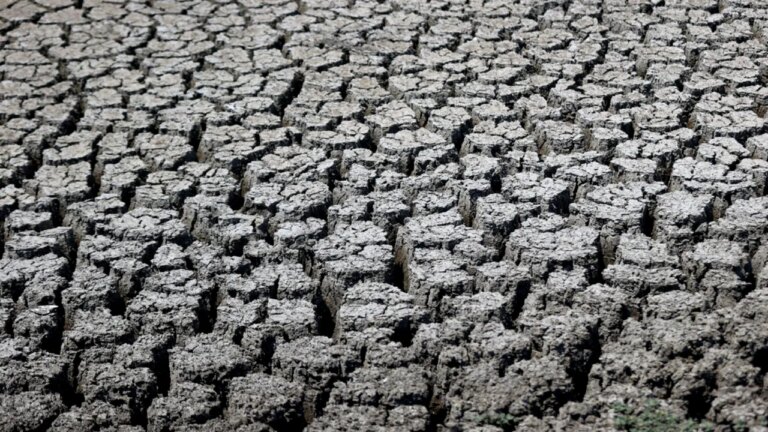 peste-100-de-milioane-de-oameni-risca-foametea.-expertii-indica-doua-cauze-majore:-el-nino-si-razboiul-din-iran