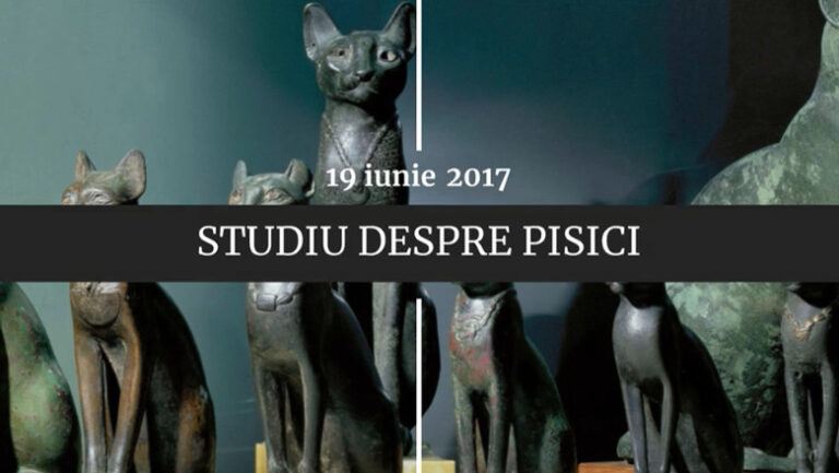 digistoria-–-cele-mai-importante-evenimente-petrecute-pe-19-iunie