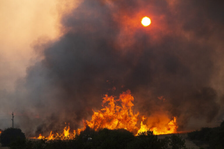 paradox-climatic:-incendiile-puternice-de-vegetatie-lovesc-zone-bogate,-insa-suprafata-arsa-la-nivel-global-a-scazut