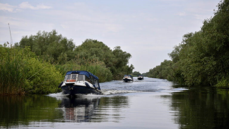 senatul-a-votat-o-lege-care-limiteaza-la-5-km/h-viteza-barcilor-in-delta-dunarii.-ce-amenzi-risca-cei-care-depasesc-limita