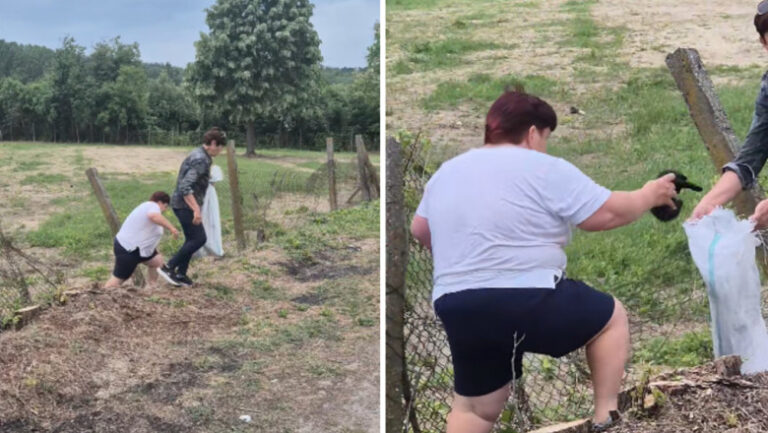 amenda-pentru-o-femeie-care-a-abandonat-sase-pui-de-pisica-pe-un-teren-viran:-„eee,-platesc”