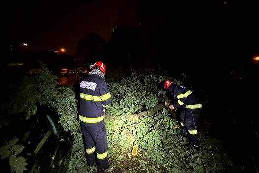 haos-in-bucuresti-dupa-furtuna:-peste-1.000-de-interventii-ale-pompierilor-in-ultimele-ore-/-statia-de-metrou-piata-victoriei-2,-inchisa-/-pompierii-au-inotat-la-o-interventie-in-sectorul-1 haos-in-bucuresti-dupa-furtuna:-peste-1.000-de-interventii-ale-pompierilor-in-ultimele-ore-/-statia-de-metrou-piata-victoriei-2,-inchisa-/-pompierii-au-inotat-la-o-interventie-in-sectorul-1