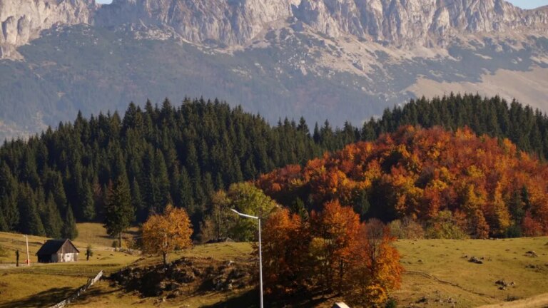 gumuteasca,-o-limba-veche-de-un-secol,-este-inca-vorbita-intr-un-sat-din-romania.-cand-este-folosita-de-localnici