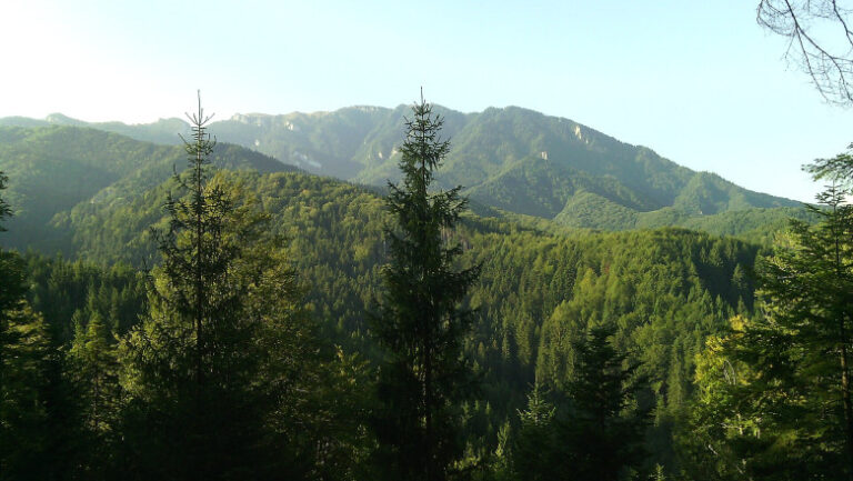 romania,-printre-statele-ue-auditate-de-curtea-europeana-de-conturi-privind-eficienta-retelei-natura-2000