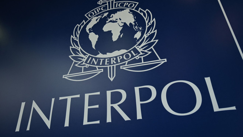 operatiune-interpol-in-romania-si-alte-96-de-state-impotriva-fraudelor-bazate-pe-inginerie-sociala-peste-5.800-de-persoane-arestate operatiune-interpol-in-romania-si-alte-96-de-state-impotriva-fraudelor-bazate-pe-inginerie-sociala-peste-5.800-de-persoane-arestate