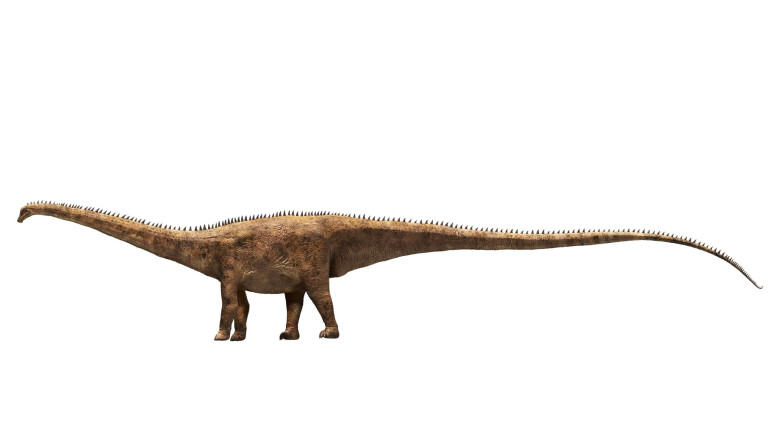 o-noua-specie-de-dinozaur-urias-a-fost-descoperita-pornind-de-la-o-singura-vertebra o-noua-specie-de-dinozaur-urias-a-fost-descoperita-pornind-de-la-o-singura-vertebra