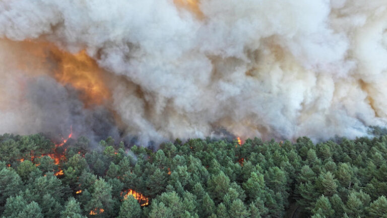 incendiu-de-„amploare-exceptionala”-in-apropierea-parisului:-este-banuita-originea-„voluntara”.-fontainebleau,-„rezervatie-a-biosferei”