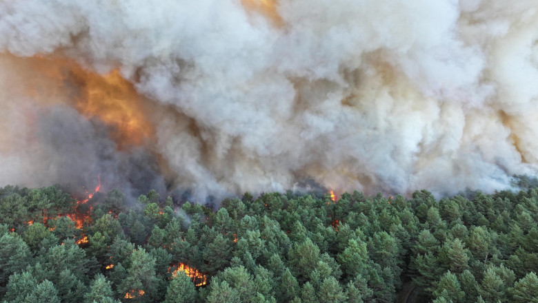 incendiu-de-„amploare-exceptionala”-in-apropierea-parisului:-este-banuita-originea-„voluntara”.-fontainebleau,-„rezervatie-a-biosferei” incendiu-de-„amploare-exceptionala”-in-apropierea-parisului:-este-banuita-originea-„voluntara”.-fontainebleau,-„rezervatie-a-biosferei”