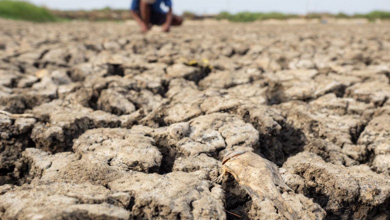avertismente-sumbre-ale-expertilor-despre-„super-el-nino”:-fenomenul-ar-putea-creste-preturile-alimentelor-timp-de-ani-de-zile avertismente-sumbre-ale-expertilor-despre-„super-el-nino”:-fenomenul-ar-putea-creste-preturile-alimentelor-timp-de-ani-de-zile