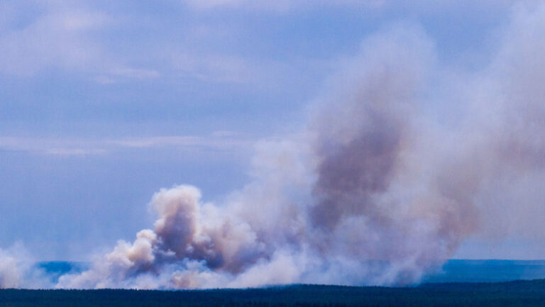 canicula-loveste-germania:-incendiu-urias-intr-un-parc-national,-restrictii-pe-rin-si-limitari-la-consumul-de-apa