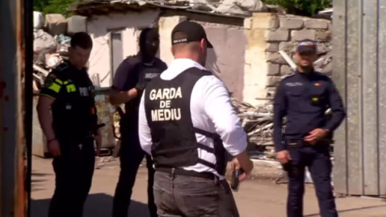 val-de-sesizari-absurde-la-garda-de-mediu:-de-la-mirosul-de-tocanita-venit-din-vecini,-pana-la-albinele-care-murdaresc-masinile