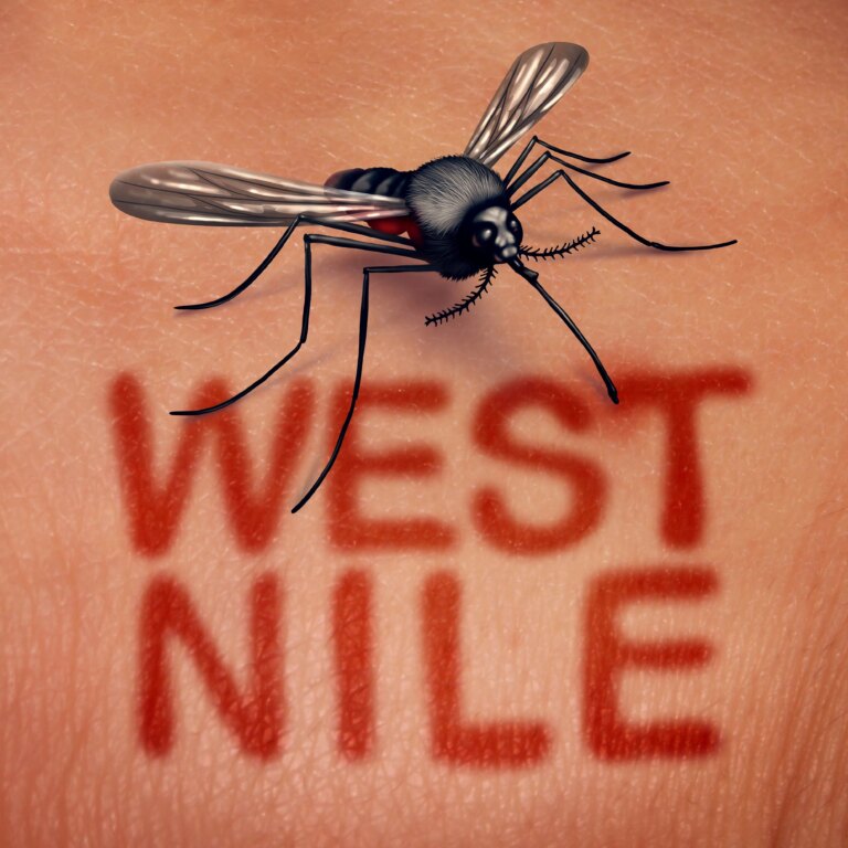 trei-cazuri-de-infectie-cu-virusul-west-nile,-unul-mortal.-avertisment:-„nu-neglijati-intepaturile-de-tantari”