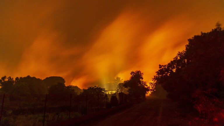 sicilia,-cuprinsa-de-incendii-de-vegetatie:-o-clinica-a-fost-evacuata,-iar-pompierii-lupta-cu-zeci-de-focare