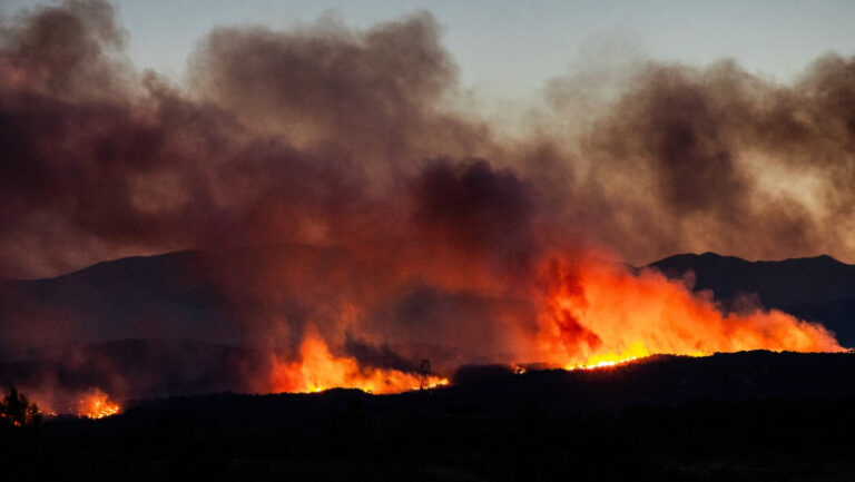 de-ce-devin-incendiile-de-vegetatie-tot-mai-greu-de-stins-in-europa-si-ce-masuri-urgente-propun-expertii