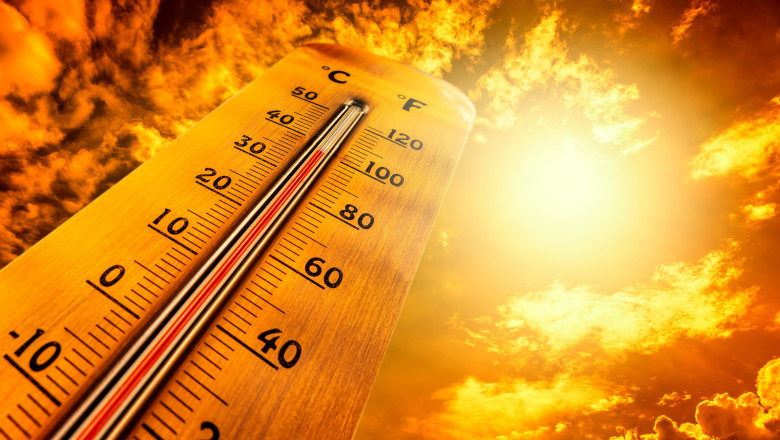 canicula-se-intensifica-in-romania:-temperaturi-de-41°c.-elena-mateescu:-„este-posibil-sa-emitem-si-cod-rosu” canicula-se-intensifica-in-romania:-temperaturi-de-41°c.-elena-mateescu:-„este-posibil-sa-emitem-si-cod-rosu”