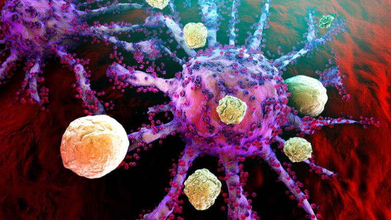 de-ce-cancerul-nu-se-transmite-intre-oameni?-ce-au-descoperit-cercetatorii-studiind-cazurile-rare-de-transmitere-la-animale