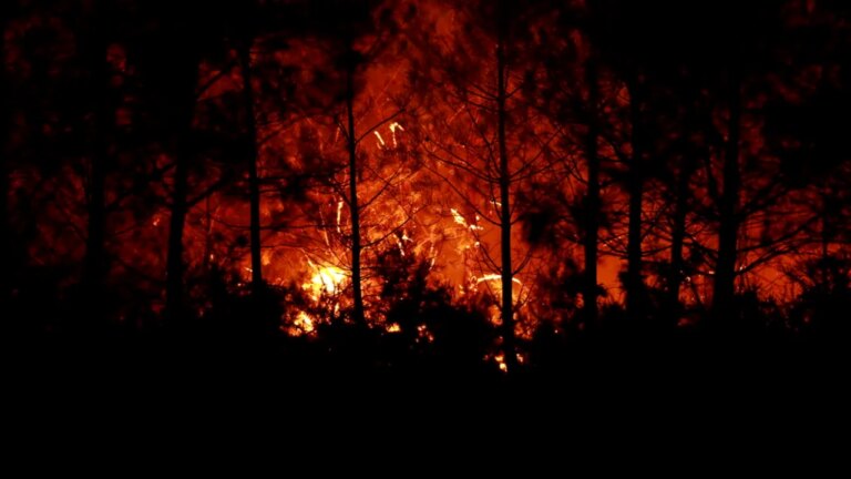 franta.-incendiul-din-gironde-este-sub-control-si-nu-mai-avanseaza,-anunta-ministrul-de-interne