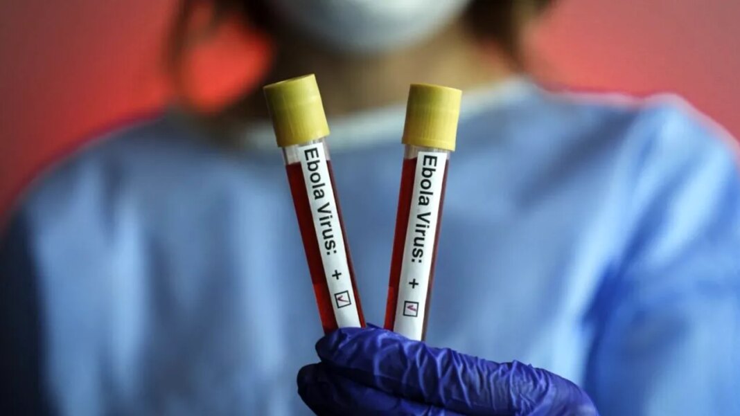 oms-anunta-ca-epidemia-de-ebola-se-agraveaza-in-rd-congo-si-este-acum-cea-mai-mare-din-istoria-tarii oms-anunta-ca-epidemia-de-ebola-se-agraveaza-in-rd-congo-si-este-acum-cea-mai-mare-din-istoria-tarii