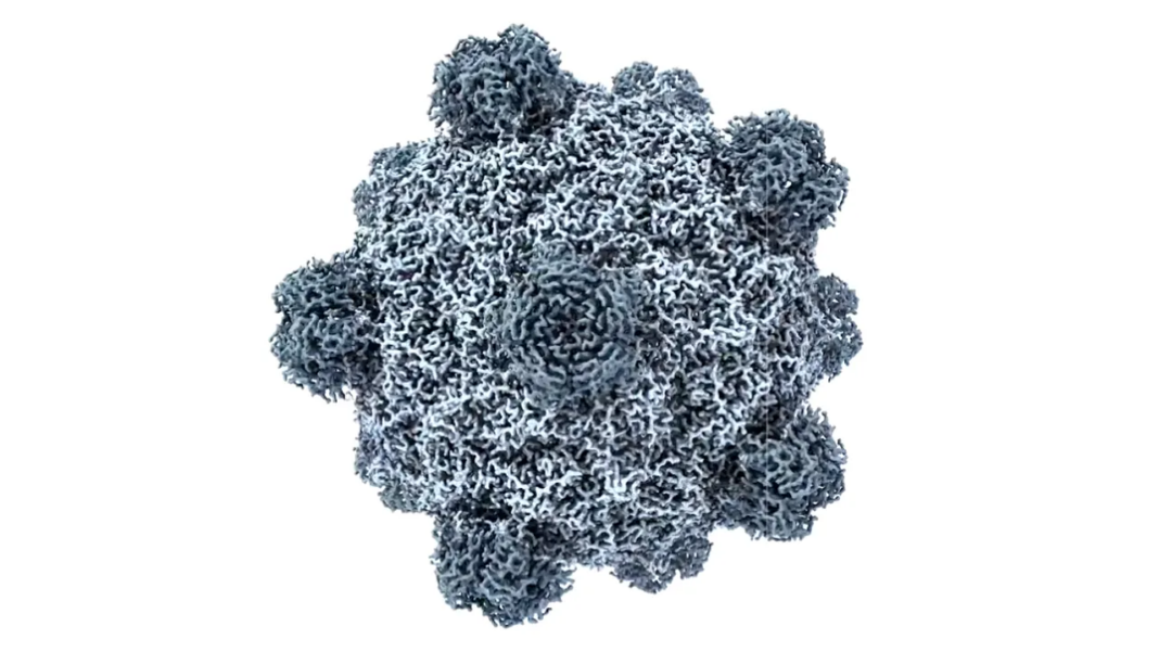 inteligenta-artificiala-a-creat-primele-virusuri-sintetice.-descoperirea-care-poate-schimba-medicina-provoaca-ingrijorari inteligenta-artificiala-a-creat-primele-virusuri-sintetice.-descoperirea-care-poate-schimba-medicina-provoaca-ingrijorari
