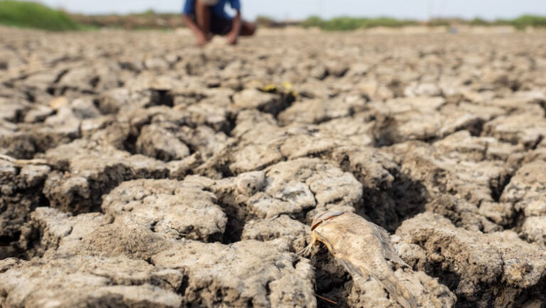 el-nino,-risc-major-pentru-securitatea-alimentara.-numarul-celor-afectati-ar-putea-ajunge-la-274-de-milioane