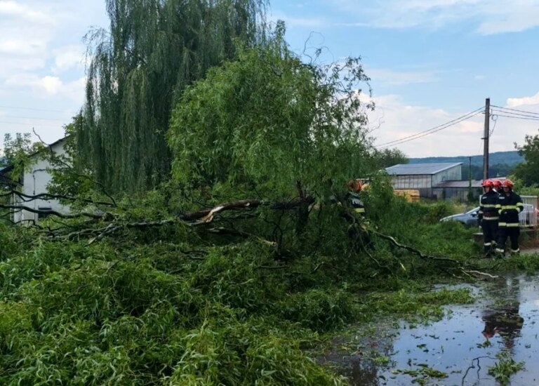 vijeliile-fac-ravagii-in-tara:-acoperis-desprins-de-pe-un-bloc-din-sibiu.-circulatia,-blocata-de-un-arbore-cazut-in-arges