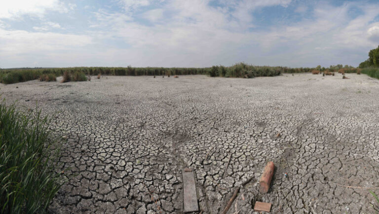 de-ce-nu-ajuta-ploile-de-vara-la-diminuarea-secetei.-climatolog:-sunt-distribuite-neuniform-si-nu-acolo-unde-este-nevoie-mai-mare