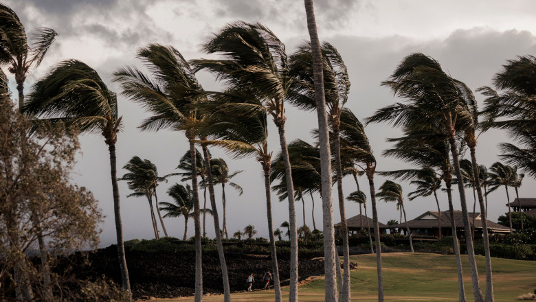 uraganul-lala-loveste-hawaii.-zeci-de-mii-de-oameni-au-ramas-fara-curent,-iar-aeroporturi-si-porturi-au-fost-inchise uraganul-lala-loveste-hawaii.-zeci-de-mii-de-oameni-au-ramas-fara-curent,-iar-aeroporturi-si-porturi-au-fost-inchise