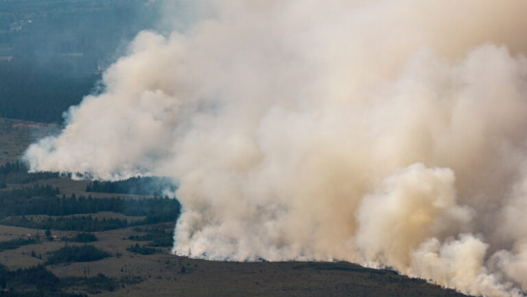 cel-mai-mare-incendiu-din-istoria-belgiei-se-indreapta-acum-spre-germania-dupa-ce-a-devastat-3.000-de-hectare