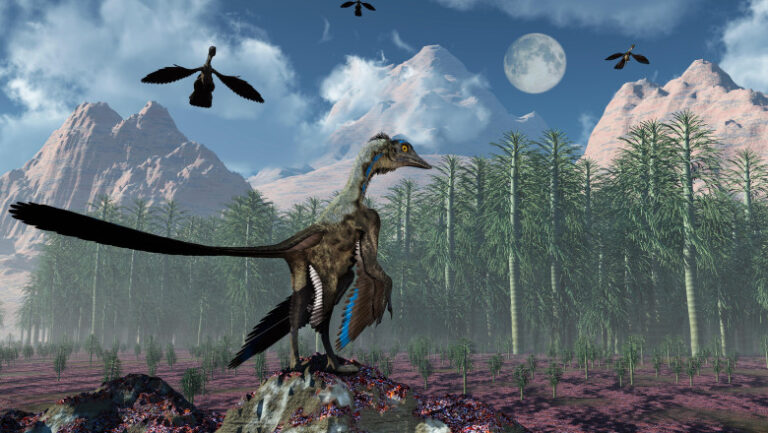 archaeopteryx-si-salturile-spre-cer:-ce-au-descoperit-cercetatorii-despre-primele-incercari-de-zbor-ale-pasarilor