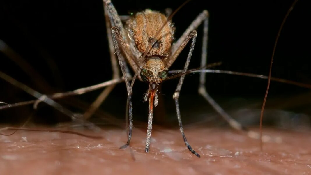 descoperirea-care-ar-putea-salva-milioane-de-oameni.-tratamentul-unei-boli-mortale,-simplificat descoperirea-care-ar-putea-salva-milioane-de-oameni.-tratamentul-unei-boli-mortale,-simplificat