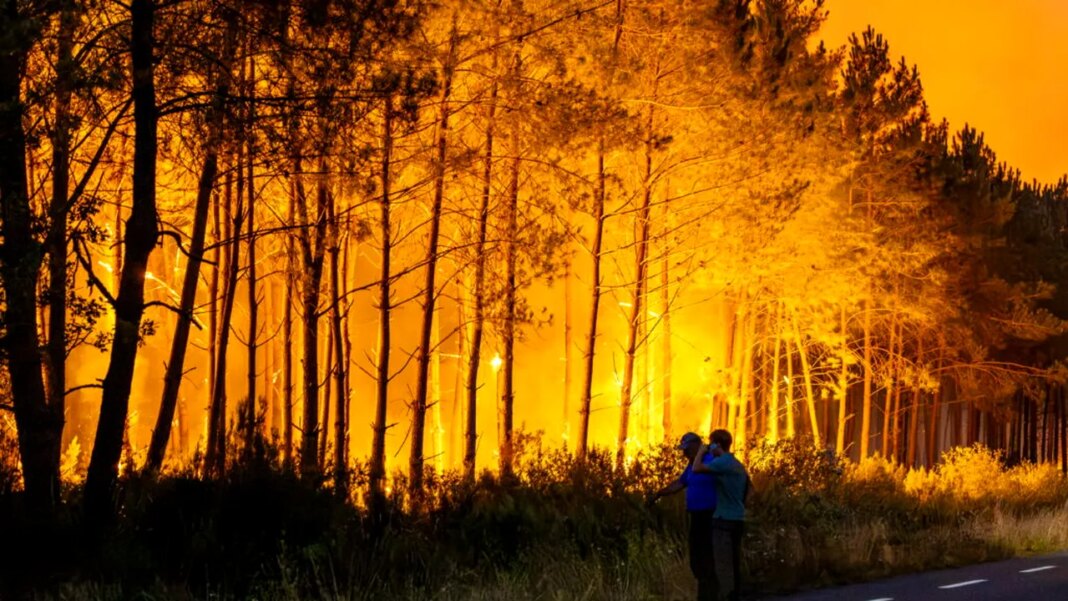 lumea-arde.-adevarata-amploare-a-incendiilor-devastatoare-care-fac-ravagii-in-intreaga-lume lumea-arde.-adevarata-amploare-a-incendiilor-devastatoare-care-fac-ravagii-in-intreaga-lume