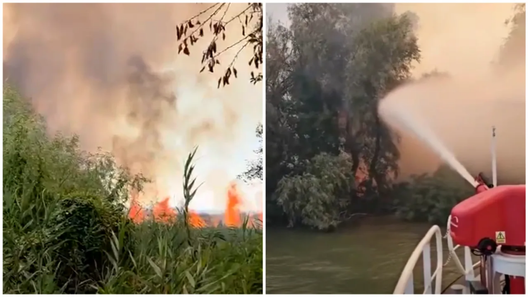 incendiu-puternic-in-delta-dunarii-exista-pericol-de-propagare-la-fondul-forestier.-arafat:-interventia-pe-apa,-esentiala incendiu-puternic-in-delta-dunarii-exista-pericol-de-propagare-la-fondul-forestier.-arafat:-interventia-pe-apa,-esentiala