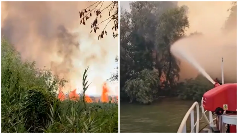 incendiu-puternic-in-delta-dunarii-exista-pericol-de-propagare-la-fondul-forestier.-arafat:-interventia-pe-apa,-esentiala