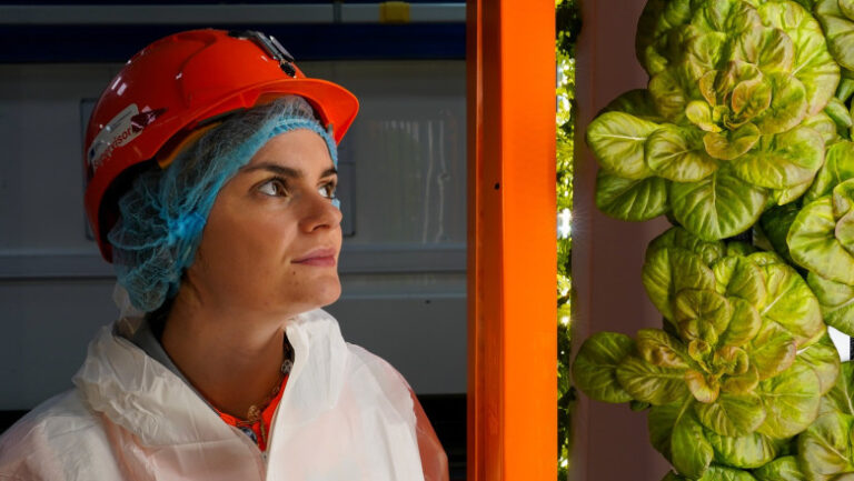 salata-cultivata-in-subteran-si-ferme-la-peste-1000-de-metri-adancime.-cum-incearca-cercetatorii-britanici-sa-rezolve-criza-alimentara