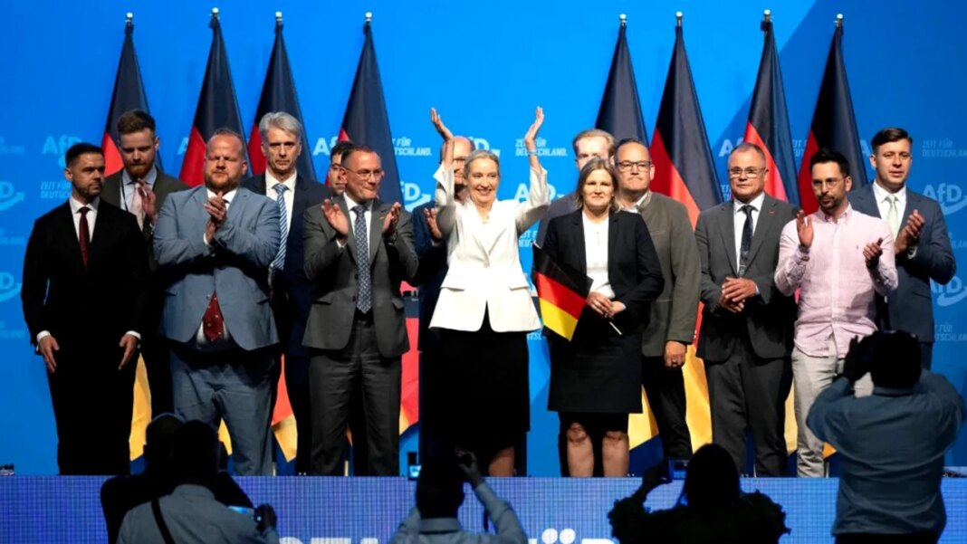 fisura-in-afd-pe-doua-teme-majore.-aripa-de-tineret-respinge-iesirea-germaniei-din-zona-euro-si-schengen