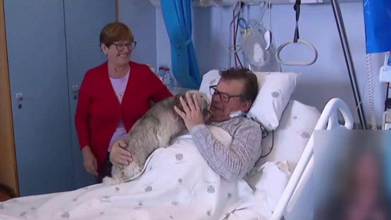 „medicamentul”-care-alina-bolnavilor-dorul-de-casa „medicamentul”-care-alina-bolnavilor-dorul-de-casa
