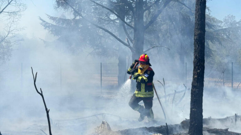 pompierii-romani-continua-lupta-cu-incendiile-din-serbia.-interventii-in-rezervatia-deliblato-sands