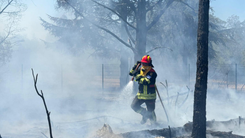pompierii-romani-continua-lupta-cu-incendiile-din-serbia.-interventii-in-rezervatia-deliblato-sands pompierii-romani-continua-lupta-cu-incendiile-din-serbia.-interventii-in-rezervatia-deliblato-sands