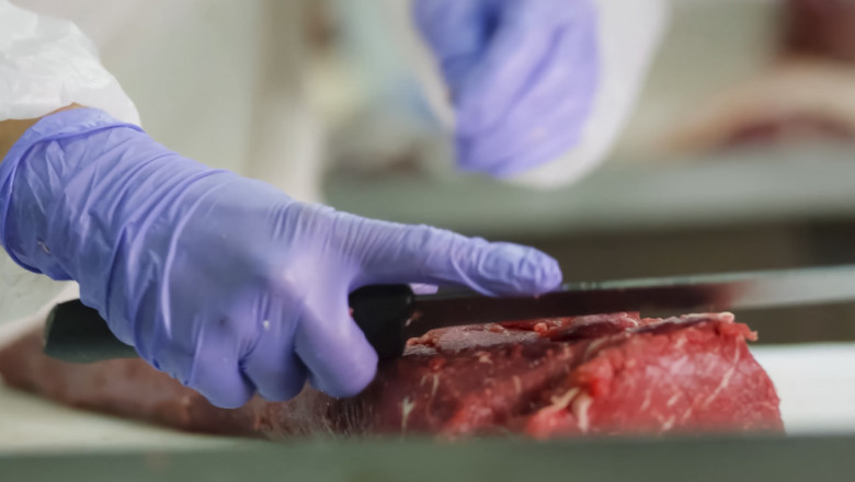 ue-suspenda-importurile-de-carne-din-brazilia-din-3-septembrie.-ce-au-descoperit-autoritatile-europene ue-suspenda-importurile-de-carne-din-brazilia-din-3-septembrie.-ce-au-descoperit-autoritatile-europene