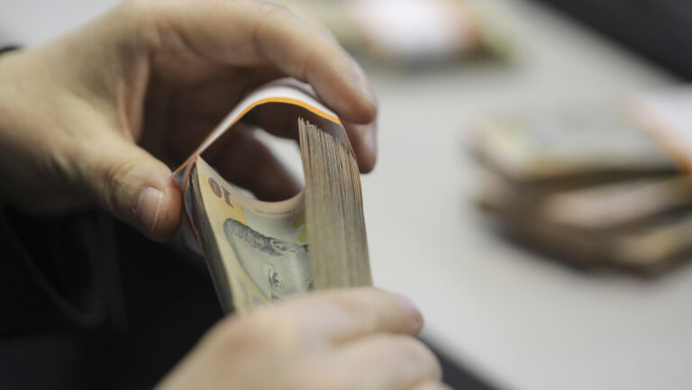 rezervele-valutare-ale-bnr-au-crescut-la-64,9-miliarde-de-euro-in-august.-intrarile-au-inclus-2,5-miliarde-de-euro-din-safe