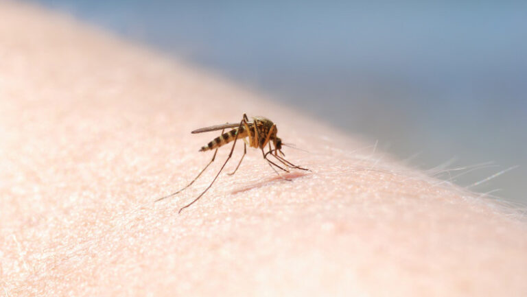 cand-ar-trebui-sa-mergem-la-spital-daca-avem-simptome-asociate-virusului-west-nile.-explicatiile-doctorului-adrian-marinescu