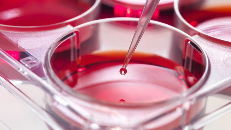 studiu:-celule-imunitare-rare-din-organismul-centenarilor-ar-putea-distruge-cancerul -inainte-ca-acesta-sa-se-dezvolte